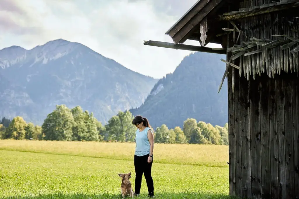 Benimm dich - Hundetraining Oberammergau - Lisa´s Hundeschule