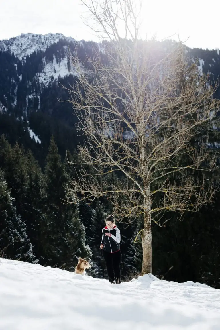 Krimitour für Mensch-Hund-Teams in Oberammergau