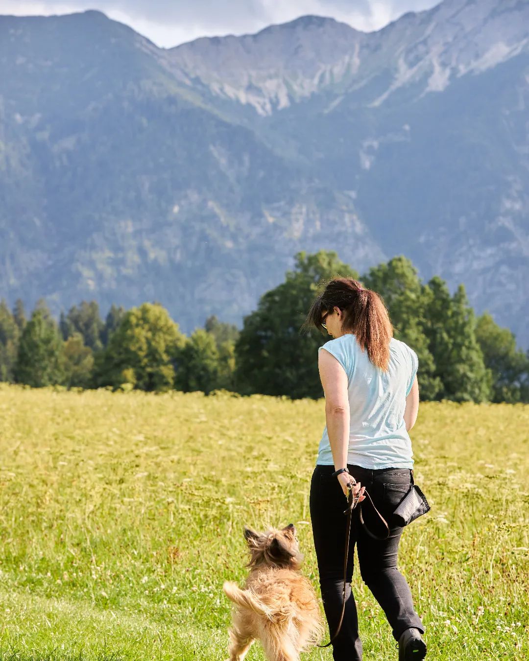 Hundetraining Ammertal - Oberammergau